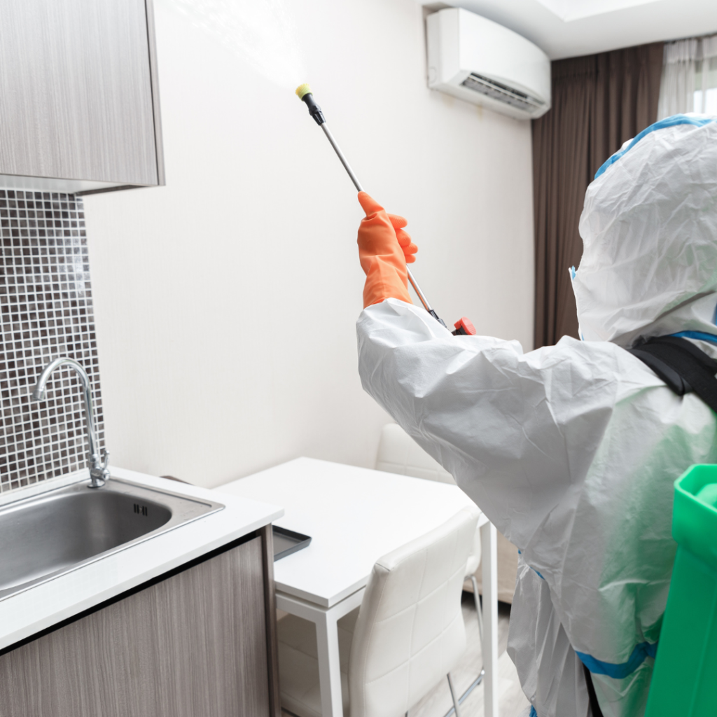 Domestic Help Streamlining Your Home Care