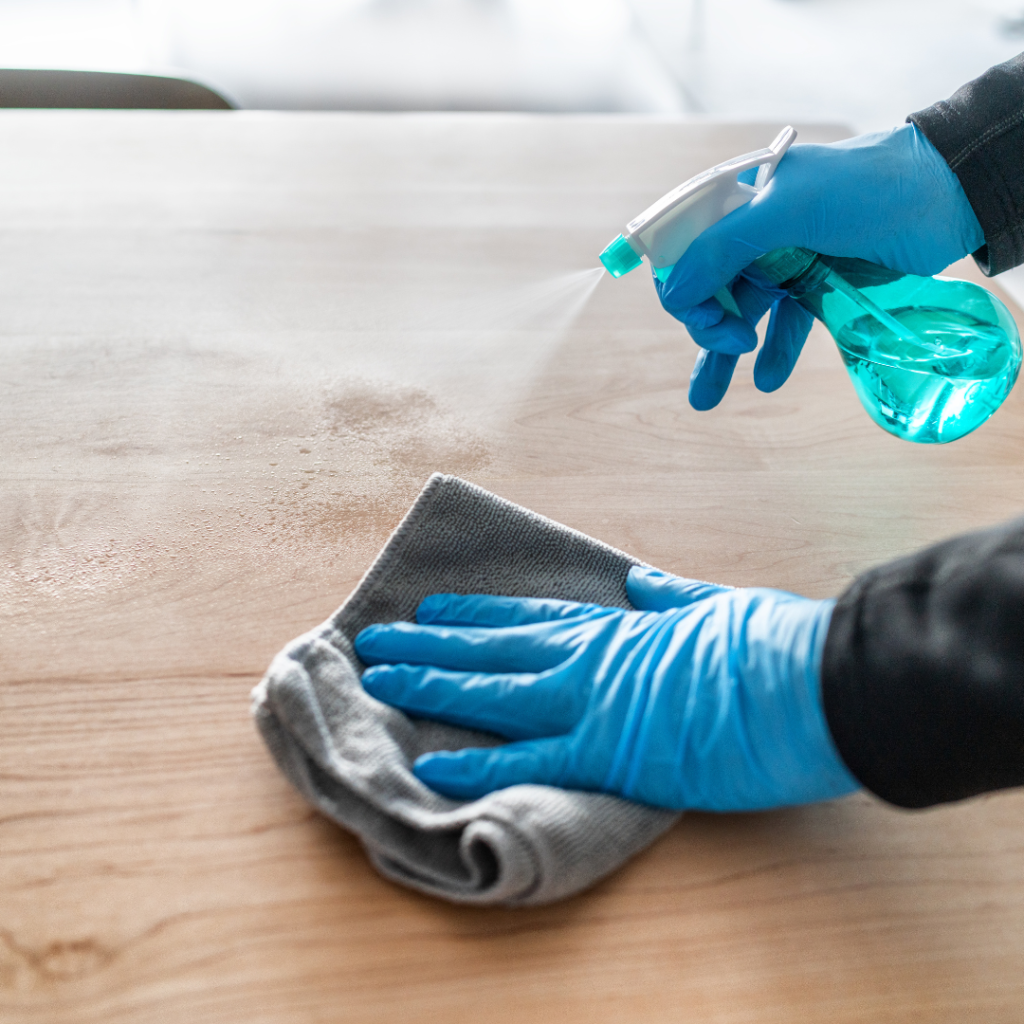 Clean Home for Health Reducing Allergens and Germs