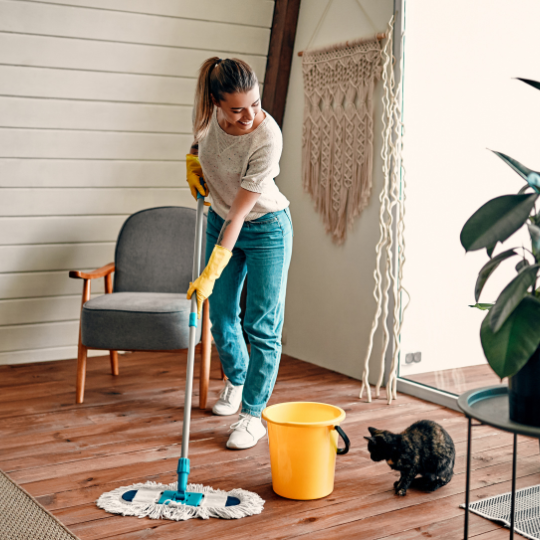 Deep Cleaning Checklist

